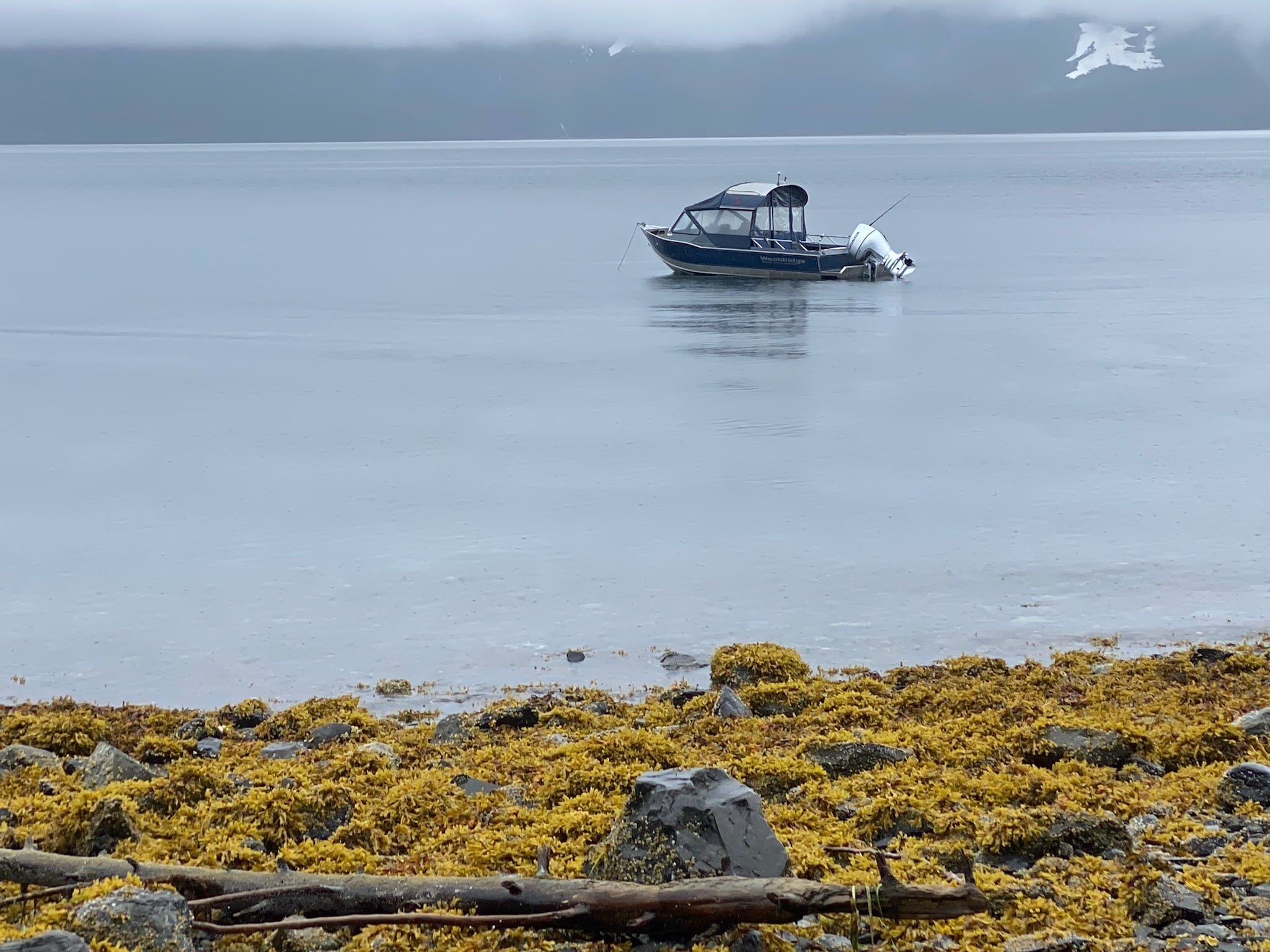 Motorboat on calm water near Valdez, viewed from a rocky shoreline